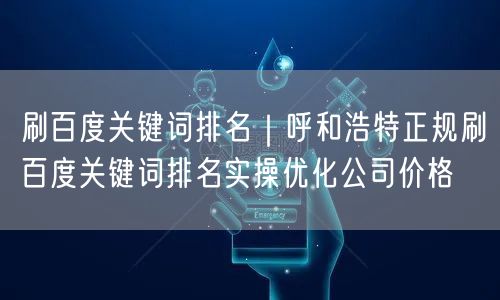 刷百度关键词排名｜呼和浩特正规刷百度关键词排名实操优化公司价格