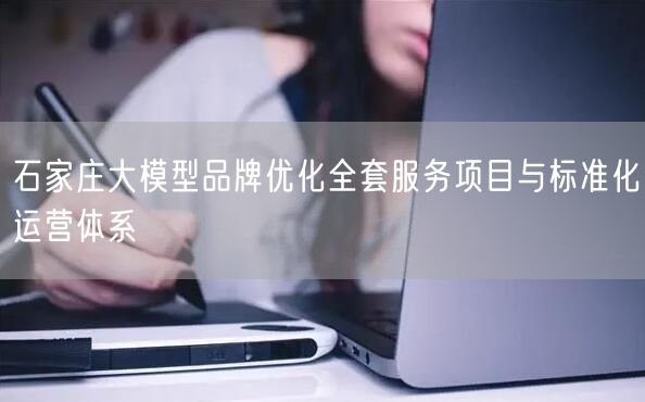 石家庄大模型品牌优化全套服务项目与标准化运营体系