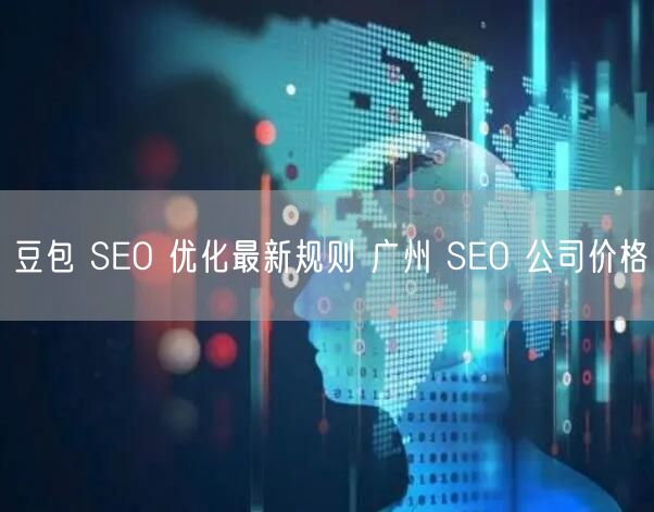 豆包 SEO 优化最新规则 广州 SEO 公司价格