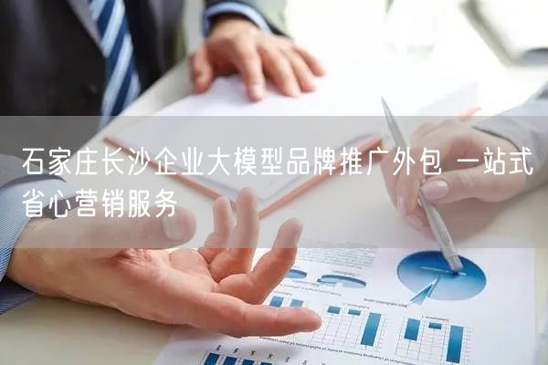 石家庄长沙企业大模型品牌推广外包 一站式省心营销服务