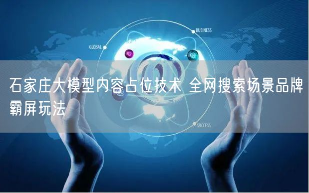 石家庄大模型内容占位技术 全网搜索场景品牌霸屏玩法