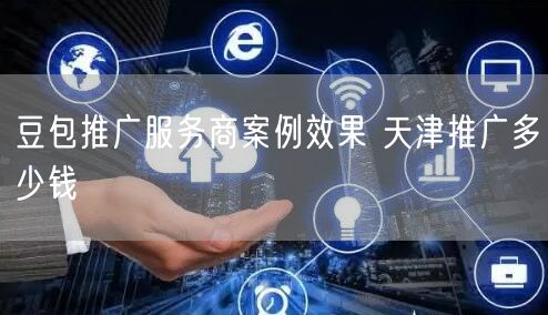 豆包推广服务商案例效果 天津推广多少钱
