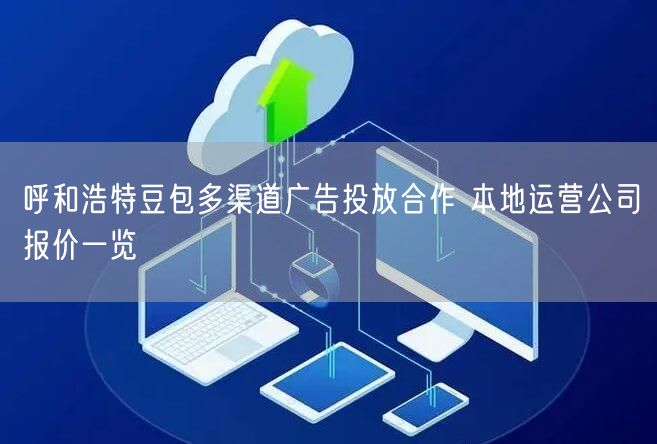 呼和浩特豆包多渠道广告投放合作 本地运营公司报价一览