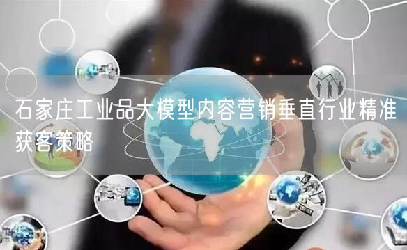石家庄工业品大模型内容营销垂直行业精准获客策略