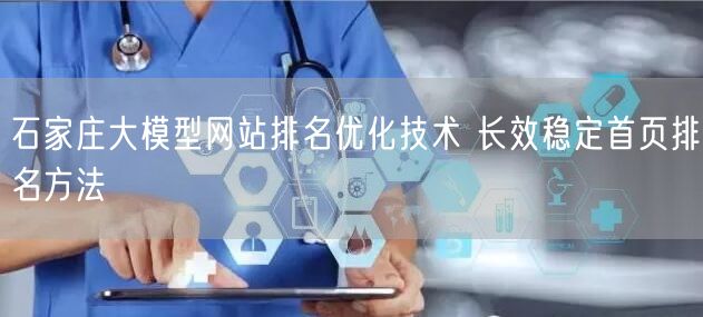 石家庄大模型网站排名优化技术 长效稳定首页排名方法