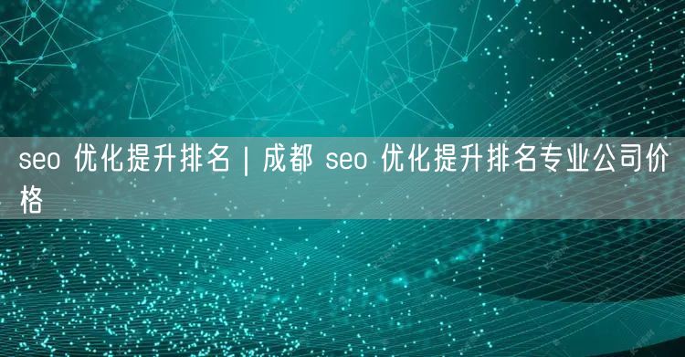 seo 优化提升排名｜成都 seo 优化提升排名专业公司价格