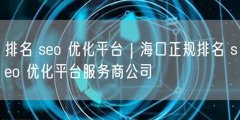 排名 seo 优化平台｜海口正规排名 seo 优化平台服务商公司