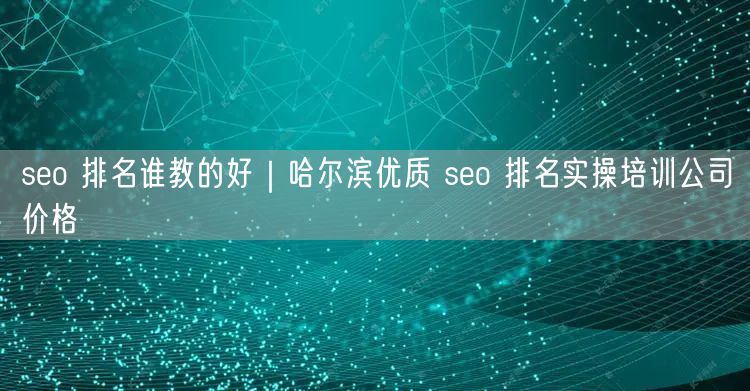seo 排名谁教的好｜哈尔滨优质 seo 排名实操培训公司价格