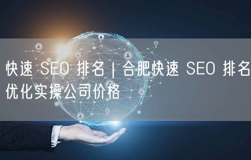 快速 SEO 排名｜合肥快速 SEO 排名优化实操公司价格