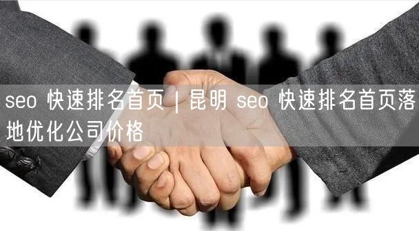 seo 快速排名首页｜昆明 seo 快速排名首页落地优化公司价格