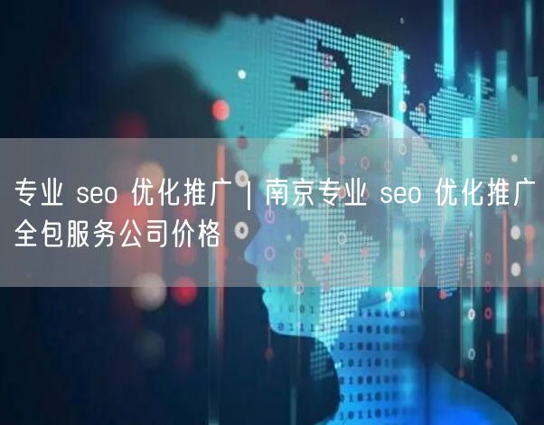 专业 seo 优化推广｜南京专业 seo 优化推广全包服务公司价格
