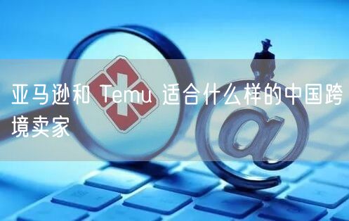 亚马逊和 Temu 适合什么样的中国跨境卖家