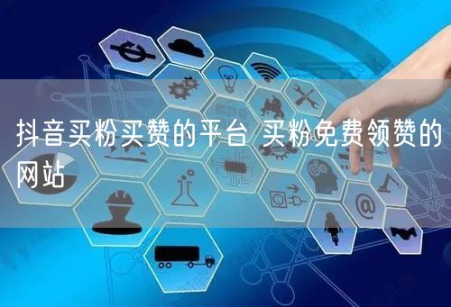 抖音买粉买赞的平台 买粉免费领赞的网站