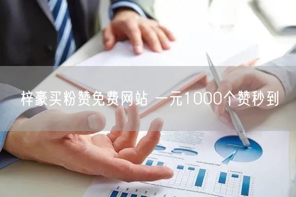 梓豪买粉赞免费网站 一元1000个赞秒到