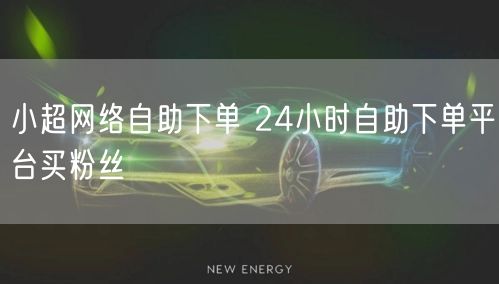 小超网络自助下单 24小时自助下单平台买粉丝