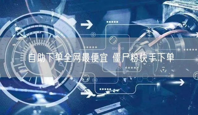 自助下单全网最便宜 僵尸粉快手下单